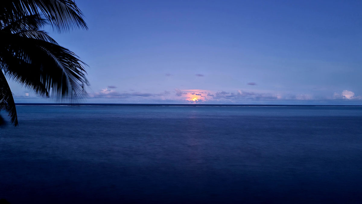 Yap Sunrise Over the Bay with Palm Trees rustling